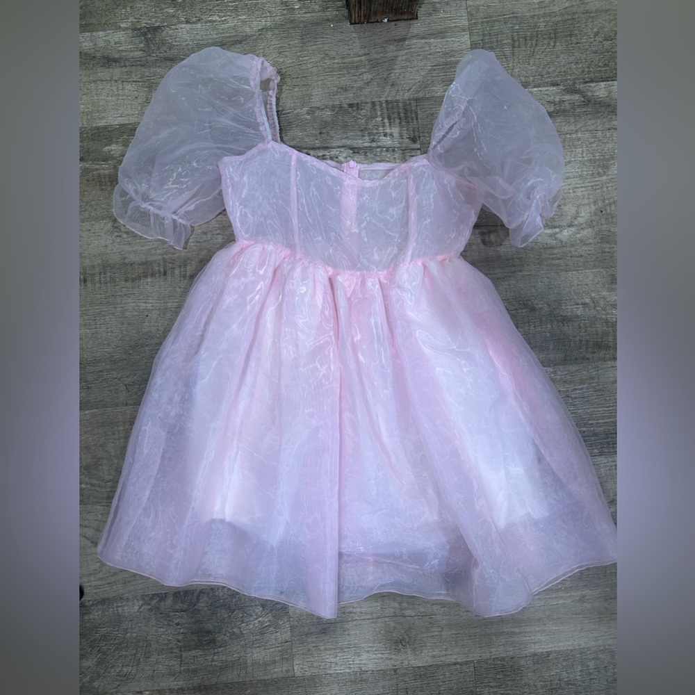 Sheer Pink Puff Sleeve Dress
